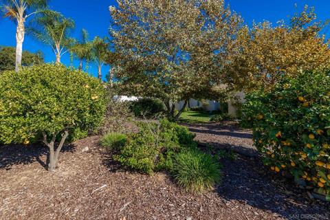 446 Crestcourt Ln, Fallbrook, CA 92028 photo 4