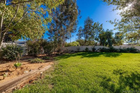 446 Crestcourt Ln, Fallbrook, CA 92028 photo 13