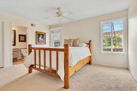10121 Paseo Palmas Dr, Lakeside, CA 92040 photo 19