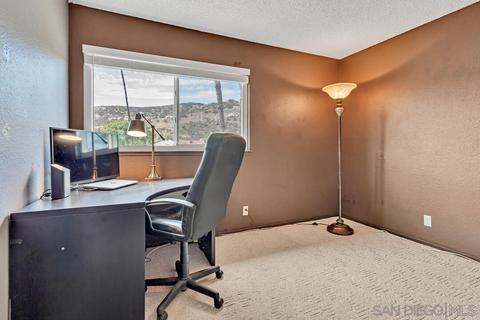 10121 Paseo Palmas Dr, Lakeside, CA 92040 photo 25