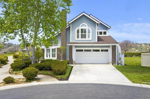 3603 Lorimer Ln, Encinitas, CA 92024 photo 19