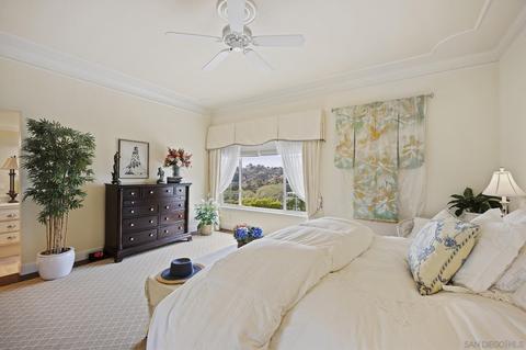 3603 Lorimer Ln, Encinitas, CA 92024 photo 59