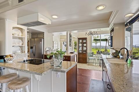 3603 Lorimer Ln, Encinitas, CA 92024 photo 36
