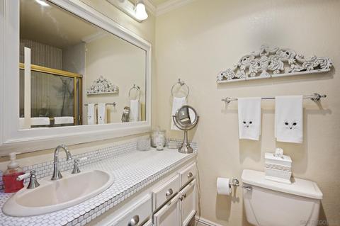 3603 Lorimer Ln, Encinitas, CA 92024 photo 55