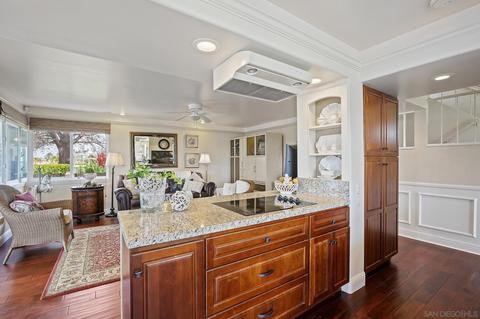 3603 Lorimer Ln, Encinitas, CA 92024 photo 39