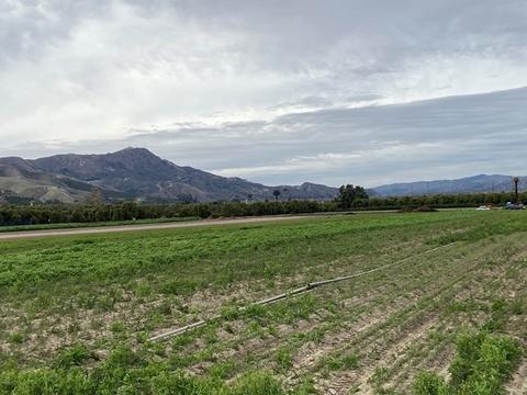 1810 Bardsdale, Fillmore, CA 93015 photo 6