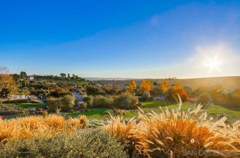 4114 Tierra Vis, Bonsall, CA 92003 photo 54