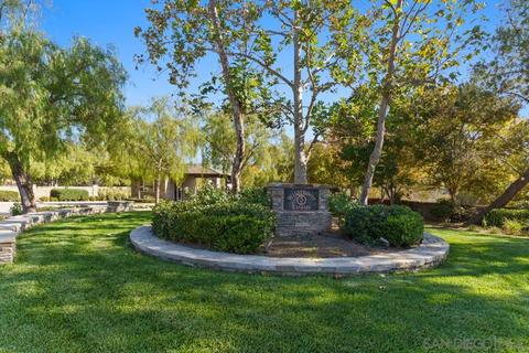 3211 Wildflower Valley Dr, Encinitas, CA 92024 photo 23
