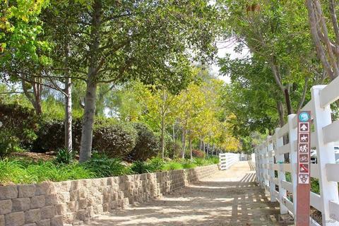 3211 Wildflower Valley Dr, Encinitas, CA 92024 photo 21