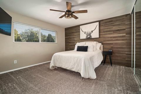 29361 Rua Alta Vis, Pine Valley, CA 91962 photo 9