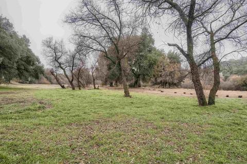 9718 River Dr, Descanso, CA 91916 photo 28