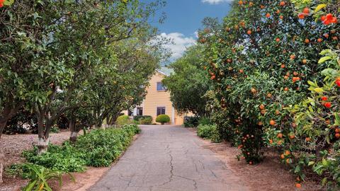 4343 Rainbow Vista Dr, Fallbrook, CA 92028 photo 45