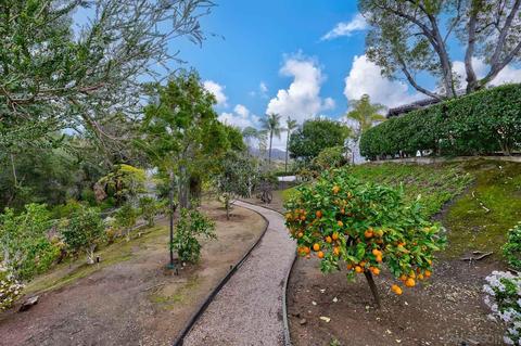 13601 Del Poniente Rd, Poway, CA 92064 photo 11