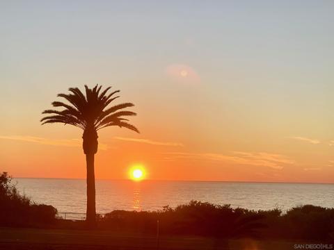 6461 Surfside, Carlsbad, CA 92011 photo 38