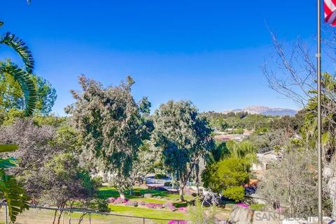 2702 Faisel Dr, Alpine, CA 91901 photo 72