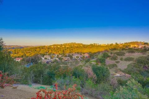 2950 Rancho Cortes, Carlsbad, CA 92009 photo 58