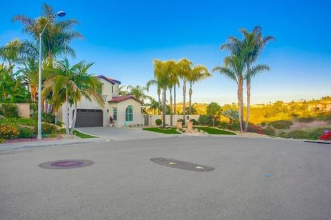 2950 Rancho Cortes, Carlsbad, CA 92009 photo 45