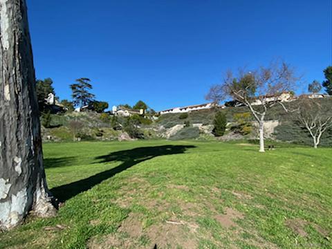 2512 Clearfield Ave, Spring Valley, CA 91977 photo 37
