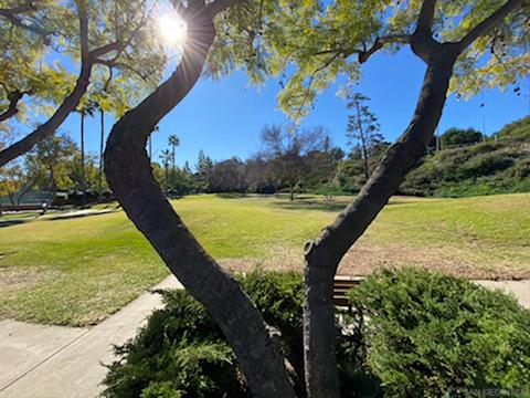 2512 Clearfield Ave, Spring Valley, CA 91977 photo 42