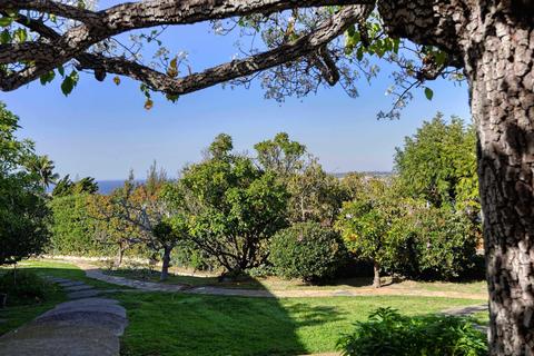 7441 Via Capri, La Jolla, CA 92037 photo 18