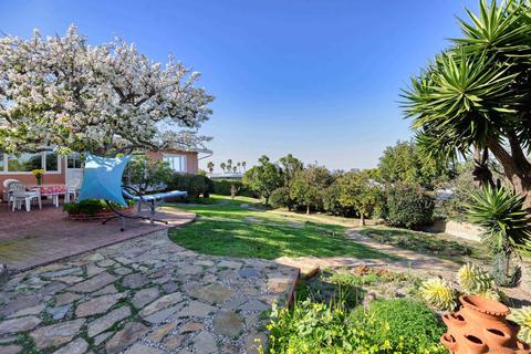 7441 Via Capri, La Jolla, CA 92037 photo 19