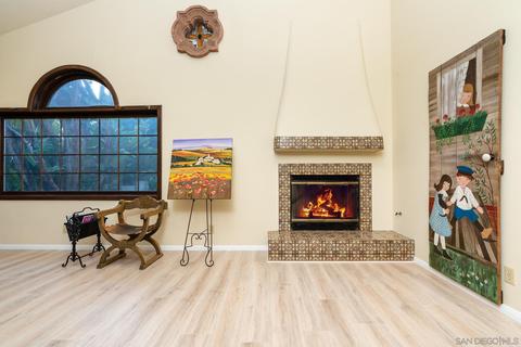 4805 Rancho Viejo Dr, Del Mar, CA 92014 photo 6