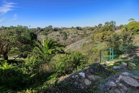 8228 Caminito Maritimo, La Jolla, CA 92037 photo 30