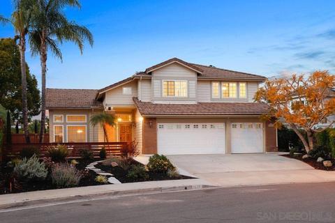 1878 Orchard Wood Rd, Encinitas, CA 92024 photo 52