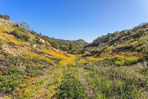 6167 Rainbow Heights Rd, Fallbrook, CA 92028 photo 30