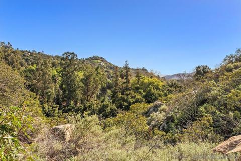 6167 Rainbow Heights Rd, Fallbrook, CA 92028 photo 41