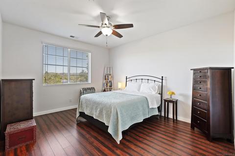 10141 Star Magnolia Ln, Santee, CA 92071 photo 19