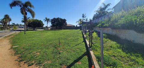 1833 Grandview St, Oceanside, CA 92054 photo 4