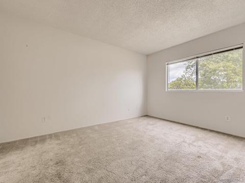 10137 Waynecrest Ln, Santee, CA 92071 photo 13