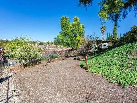 10176 Ramona Dr, Spring Valley, CA 91977 photo 23