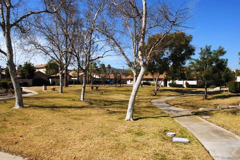 10386 Rochelle Ave, Santee, CA 92071 photo 41