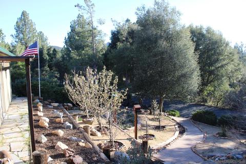 8010 Foothill Blvd, Pine Valley, CA 91962 photo 4