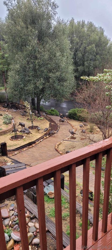 8010 Foothill Blvd, Pine Valley, CA 91962 photo 24