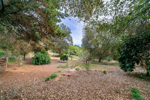 3909 Palomar Dr, Fallbrook, CA 92028 photo 36