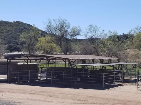 22405 Japatul Ln, Alpine, CA 91901 photo 61