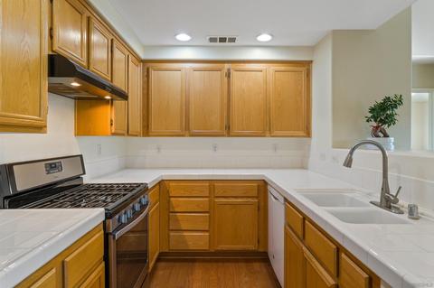 1232 Stagecoach Trail Loop, Chula Vista, CA 91915 photo 8