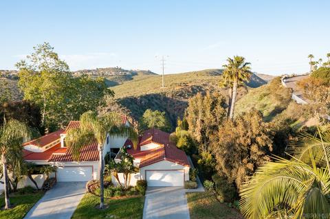 3192 Piragua St, Carlsbad, CA 92009 photo 25