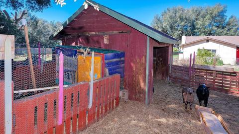 7717 Calle Del Bosque, Pine Valley, CA 91962 photo 28