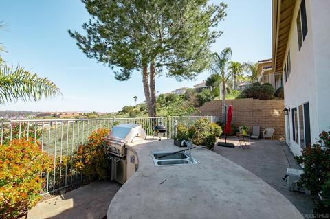 2533 Fresh Waters Ct, Spring Valley, CA 91978 photo 22