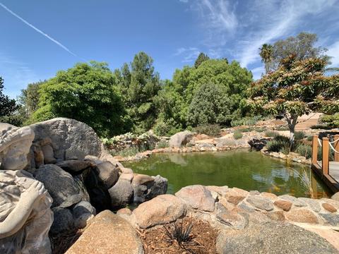 1582 Shadow Knolls Dr, El Cajon, CA 92020 photo 43