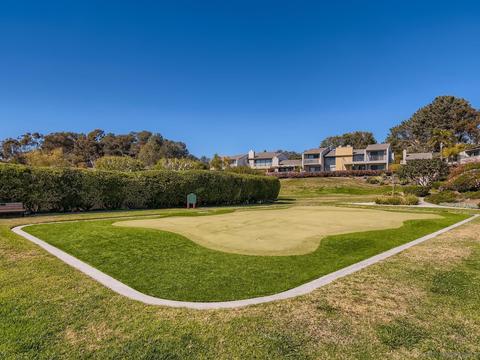 12824 Caminito De Las Olas #75, Del Mar, CA 92014 photo 38