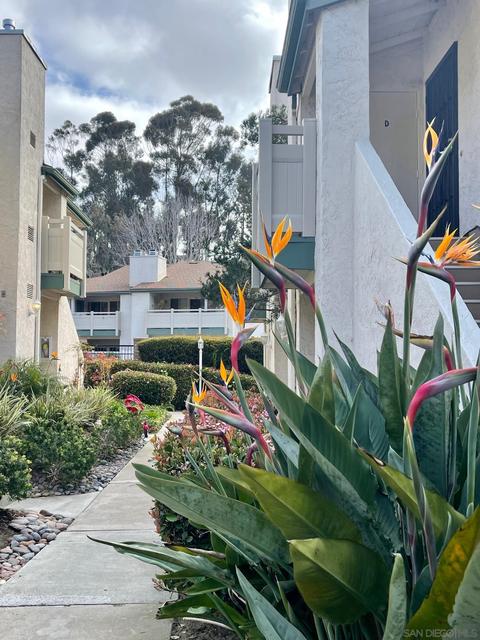 8755 Gilman Dr #A, La Jolla, CA 92037 photo 5