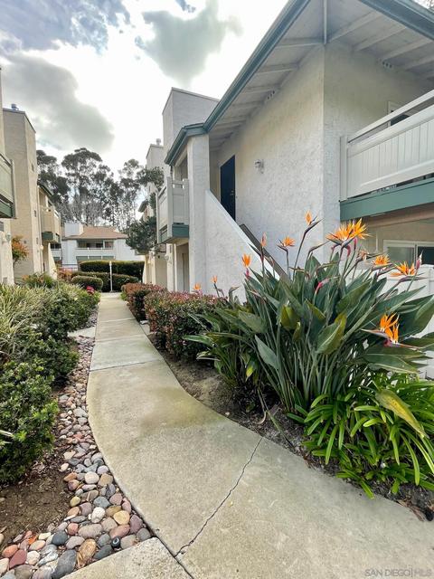 8755 Gilman Dr #A, La Jolla, CA 92037 photo 4