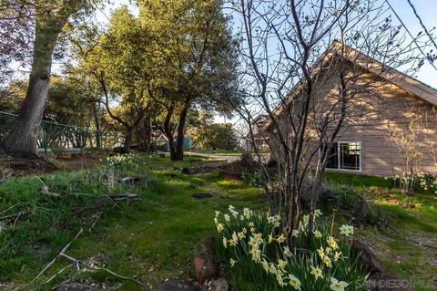 3166 Pera Alta, Julian, CA 92036 photo 32