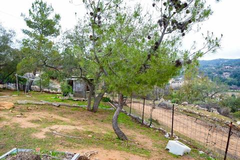 22356 Japatul Ln, Alpine, CA 91901 photo 4