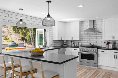 1517 Vanessa Cir, Encinitas, CA 92024 photo 8